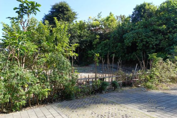 Image 4 from Small Plot Residential Land for Sale Freehold and Leasehold in Melasti