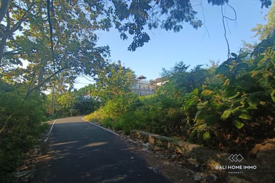 Image 4 from Small Plot Residential Land for Sale Freehold and Leasehold in Ungasan