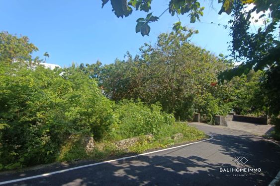 Image 5 from Small Plot Residential Land for Sale Freehold and Leasehold in Ungasan