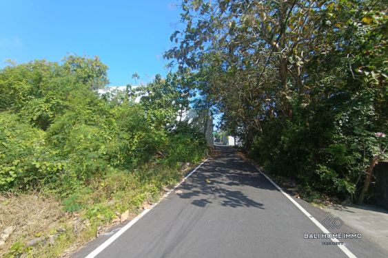 Image 6 from Small Plot Residential Land for Sale Freehold and Leasehold in Ungasan