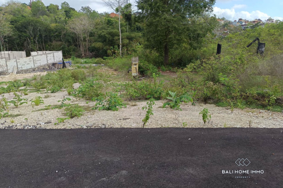 Image 3 from Small Plot Residential Land for Sale Freehold in Kutuh