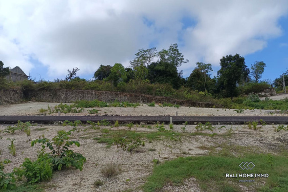 Image 2 from Small Plot Residential Land for Sale Freehold in Kutuh