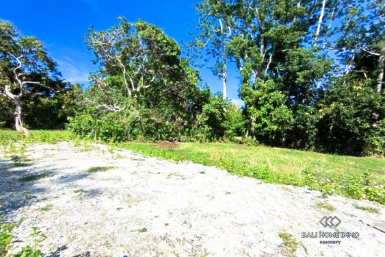 Image 6 from Terrains résidentiels à vendre en pleine propriété et en bail emphytéotique à Balangan