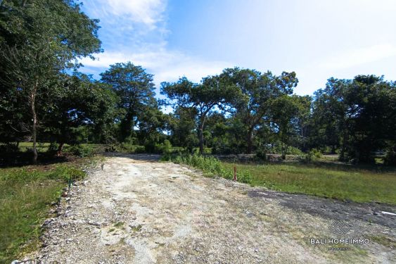 Image 5 from Terrains résidentiels à vendre en pleine propriété et en bail emphytéotique à Balangan