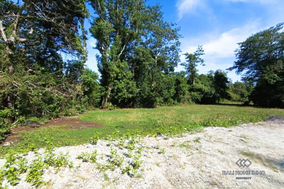 Image 4 from Terrains résidentiels à vendre en pleine propriété et en bail emphytéotique à Balangan
