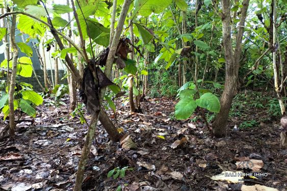 Image 4 from Small Plot Residential Zoning Land for Sale Freehold in Kutuh