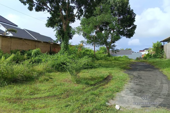 Image 2 from Small Plot Residential Zoning Land for Sale Freehold in Ungasan