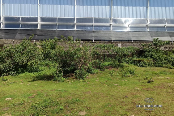 Image 3 from Tanah Perumahan Kecil Dijual dengan Status Hak Sewa di Ungasan