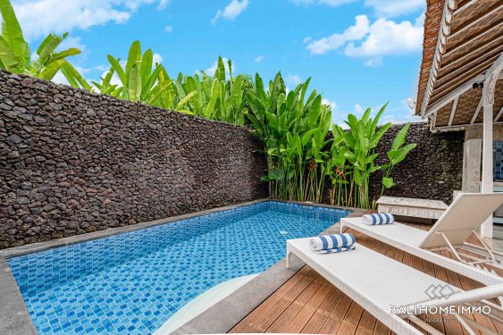 Image 3 from Kompleks Villa Disewakan Jangka Panjang di Bali Batu Belig