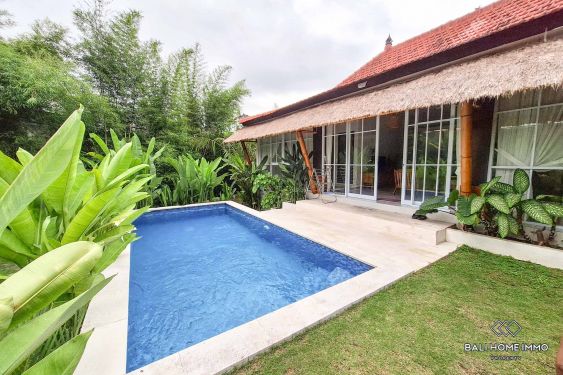 Image 1 from 2 Bedroom Villa with Spacious Garden for Rent in North Canggu Bali