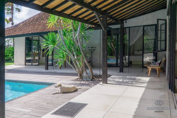 Image 3 from Spacious 3 Bedroom Villa for Sale Leasehold in Canggu Berawa