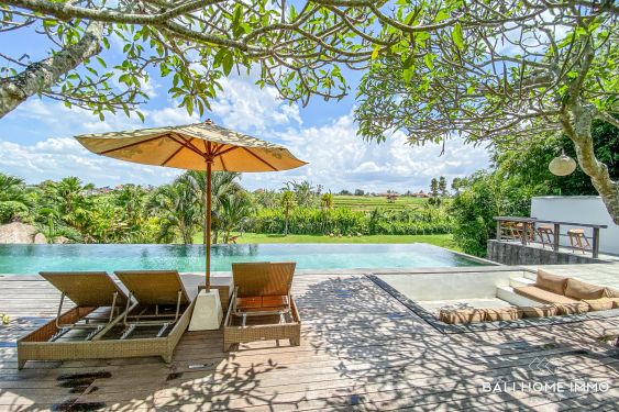 Image 3 from SPACIOUS  4 BEDROOM VILLA FOR YEARLY RENTAL IN BALI CANGGU RESIDENTIAL SIDE