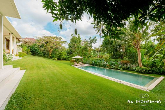 Image 3 from Spacious 5 Bedroom Family Retreat for Sale in Bali Canggu Berawa