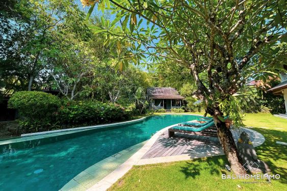 Image 3 from Spacious 4 Bedroom Villa For Sale and Rent in Bali Umalas