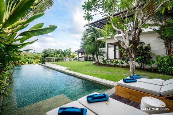 Image 1 from Spacious 6 bedroom villa with rice fieldview for sale in North Canggu