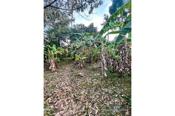 Image 5 from Dijual Tanah Datar yang Dapat Dibagi di Cepaka