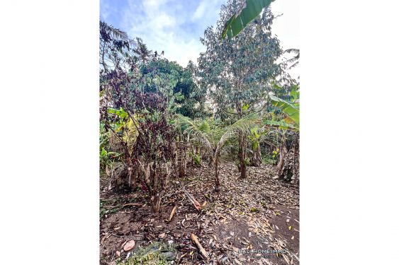 Image 4 from Dijual Tanah Datar yang Dapat Dibagi di Cepaka