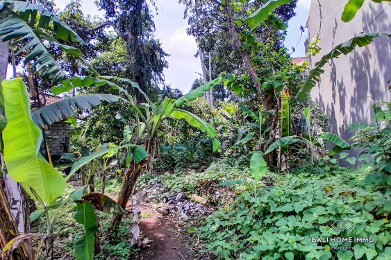 Image 7 from Dijual Tanah Datar yang Dapat Dibagi di Cepaka