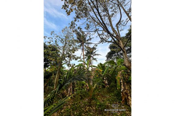 Image 6 from Dijual Tanah Datar yang Dapat Dibagi di Cepaka