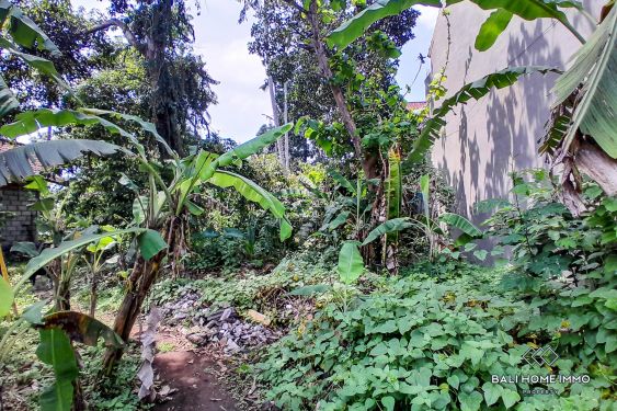 Image 7 from Terrain plat divisible à vendre à Cepaka