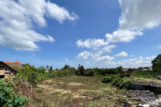 Image 3 from STREET FRONT 35 ARE LAND FOR SALE LEASEHOLD IN CANGGU BATU BOLONG BALI