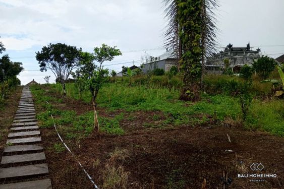 Image 2 from Land for sale freehold in Bali Munduk near Bedugul - Tamblingan Lake