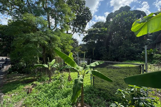 Image 3 from Street front land for sale leasehold in Bali Cepaka
