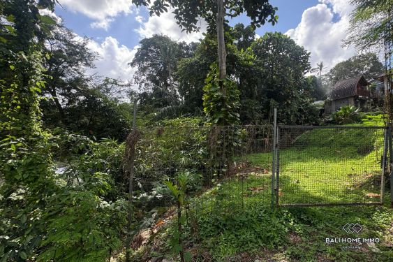 Image 5 from Tanah pinggir jalan dijual leasehold di Bali Cepaka