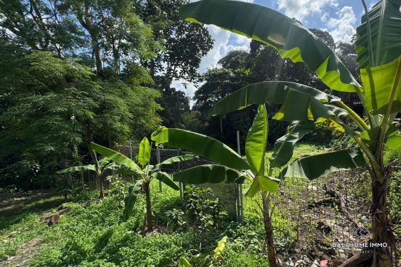 Image 2 from Street front land for sale leasehold in Bali Cepaka