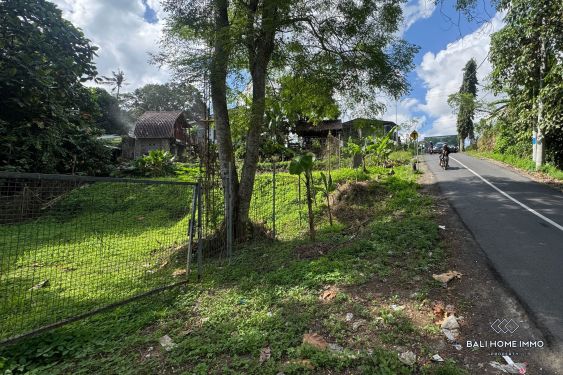 Image 7 from Tanah pinggir jalan dijual leasehold di Bali Cepaka