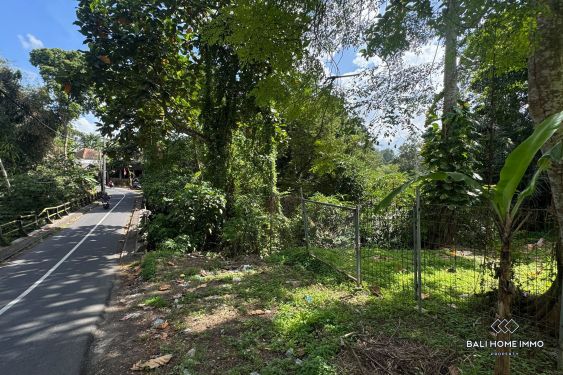 Image 9 from Tanah pinggir jalan dijual leasehold di Bali Cepaka