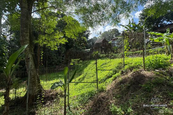 Image 6 from Tanah pinggir jalan dijual leasehold di Bali Cepaka