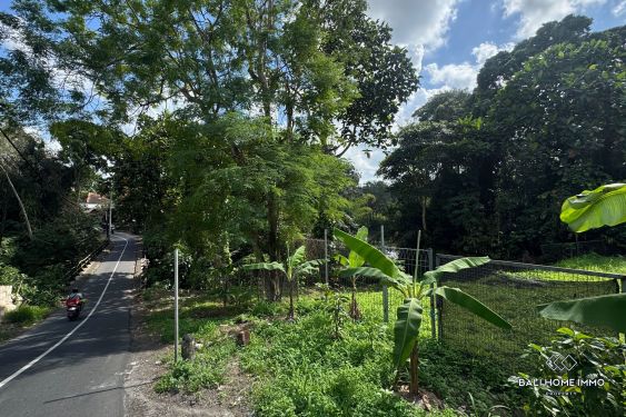 Image 8 from Tanah pinggir jalan dijual leasehold di Bali Cepaka