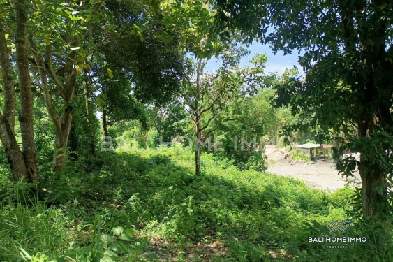 Image 4 from Street-front Land for Sale Leasehold in Ungasan