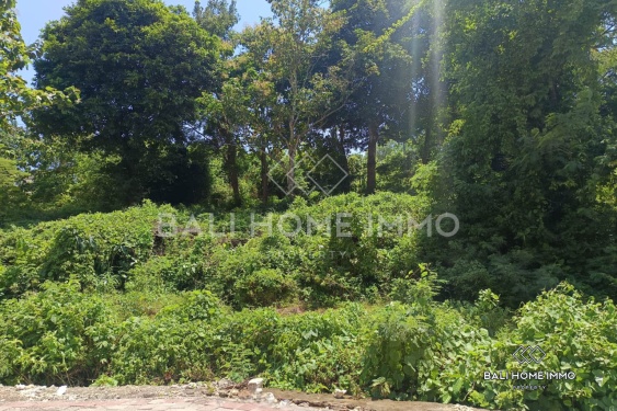 Image 3 from Street-front Land for Sale Leasehold in Ungasan
