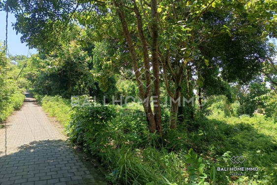 Image 2 from Street-front Land for Sale Leasehold in Ungasan