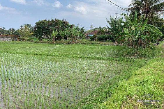 Image 2 from Street front Land with Ricefield View for Sale Leasehold in Bali Tabanan Buwit