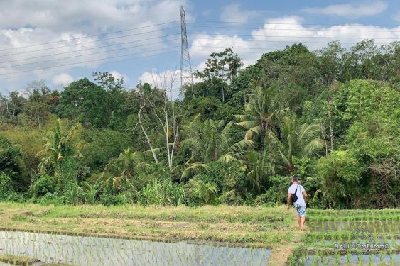 Image 3 from Terrain en front de rue avec vue sur Ricefield à vendre en location à Bali Tabanan Buwit