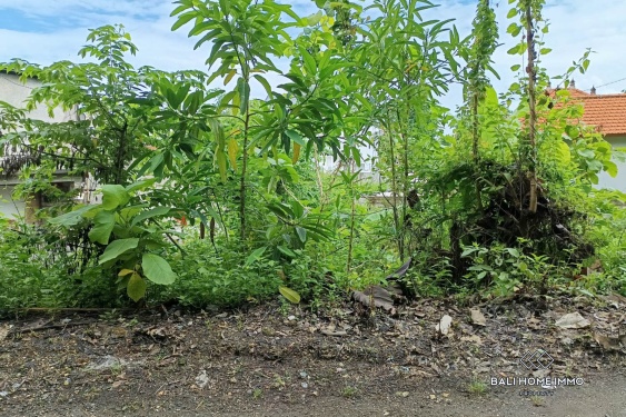 Image 2 from Terrain résidentiel en bordure de rue à vendre en bail emphytéotique à Kutuh