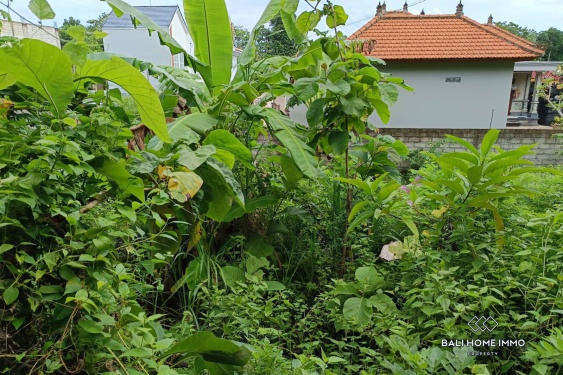 Image 3 from Terrain résidentiel en bordure de rue à vendre en bail emphytéotique à Kutuh