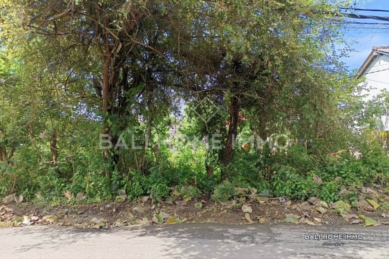 Image 3 from Tanah Perumahan Berhadapan Jalan Dijual dengan Hak Sewa di Pandawa