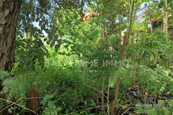 Image 2 from Tanah Perumahan Berhadapan Jalan Dijual dengan Hak Sewa di Pandawa