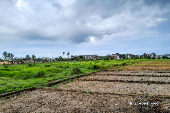 Image 2 from Dijual Tanah Pinggir Jalan 40 Are di Zona Pariwisata dekat Pantai Kedungu Bali