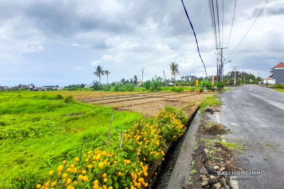 Image 3 from Dijual Tanah Pinggir Jalan 40 Are di Zona Pariwisata dekat Pantai Kedungu Bali