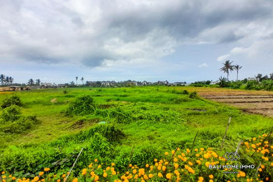 Image 3 from Dijual Tanah Pinggir Jalan 40 Are di Zona Pariwisata dekat Pantai Kedungu Bali