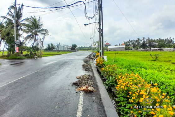 Image 2 from Dijual Tanah Pinggir Jalan 40 Are di Zona Pariwisata dekat Pantai Kedungu Bali