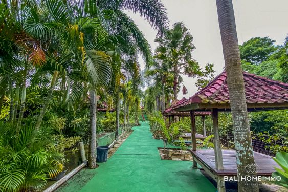 Image 5 from Terrain en front de rue à vendre en pleine propriété à Lombok