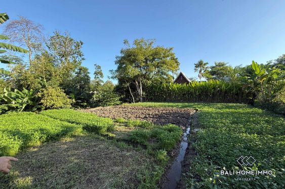 Image 5 from 10 are Land for Sale in Canggu Residential Side