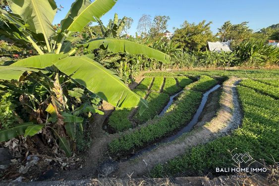 Image 7 from 10 are Land for Sale in Canggu Residential Side