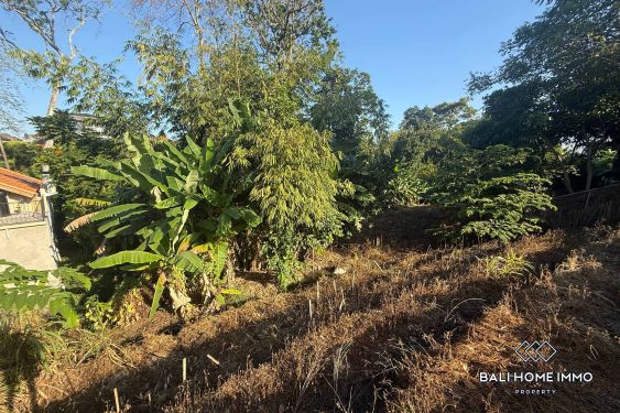 Image 2 from Streetfront Land for Sale in Canggu Residential Side
